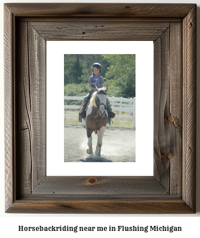 horseback riding near me in Flushing, Michigan